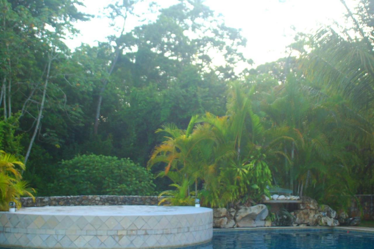 Axkan Palenque, Shows En Vivo & Gastronomia Mar Y Tierra & Travel Agency Екстериор снимка